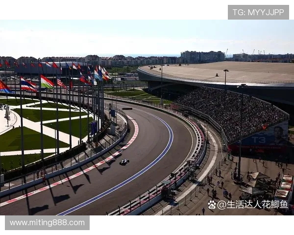 卡塔尔赛事停摆 美欧杯或改期地