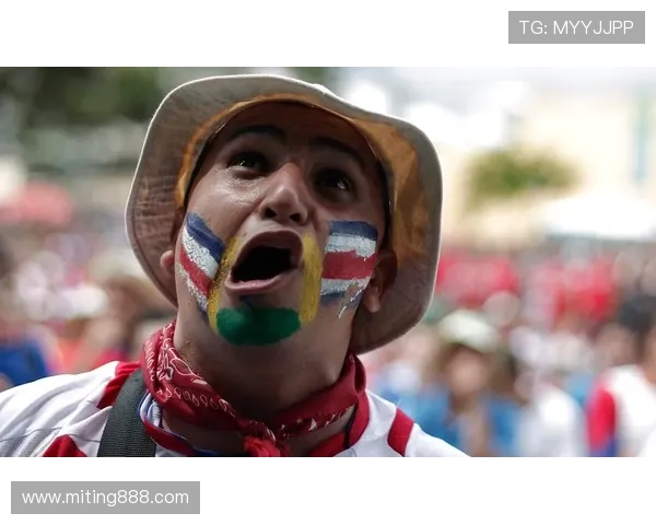 因凡蒂诺现身土耳其观看哥斯达黎加热身赛